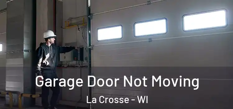  Garage Door Not Moving La Crosse - WI